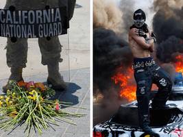 kalifornien: die bilder aus l.a. zeigen, was  meinungsfreiheit à la trump bedeutet